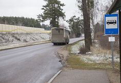 Juodšiliai