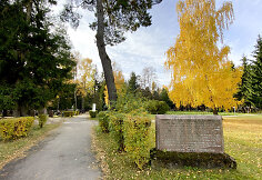 Sudervės žydų kapinės