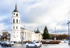 Vilniaus Kalėdų eglė jau Katedros aikštėje
