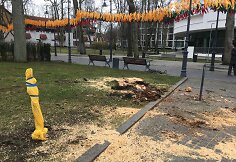 Palanga penktadienį tvarkosi audros pridarytus nuostolius