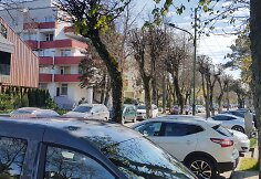 Ilgasis savaitgalis Palangoje