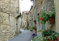 Cenova