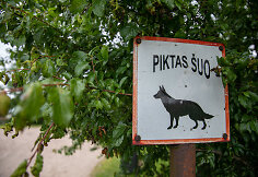Jojimo klubas „Pasaga“