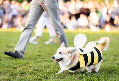 Korgių lenktynės Vilniaus Vingio parke