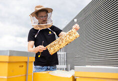 Urbanbee.lt įkūrėjas Paulius Chockevičius