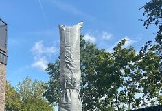 Žiemai skirti palmės &bdquo;drabužiai&ldquo;, saugantys augalą nuo &scaron;alčio