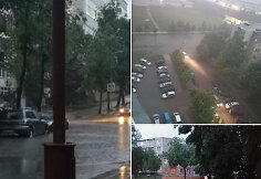 Liūtis Šiauliuose