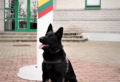 Tarnybinis &scaron;uo Endy