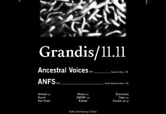 Plakatas – Grandis 2