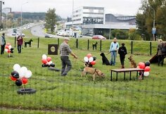  &bdquo;Purina&ldquo; &scaron;unų vedžiojimo aik&scaron;telė