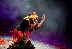 Sandra Domingo