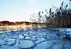 Živilės Juozaitienės maudynių vieta
