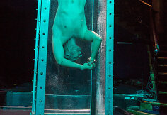 Andrew Basso 