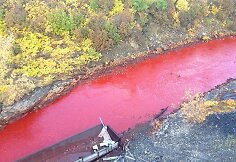 Upė Sibire nusidažė ryškiai raudona spalva