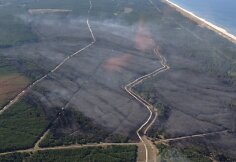 Kur&scaron;ių nerija atsikvėpė &ndash; per kelias valandas beveik 70 hektarų pusiasalio mi&scaron;kų nusiaubęs gaisras numal&scaron;intas.