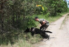Pasieniečių tarnybinių &scaron;unų čempionato akimirkos