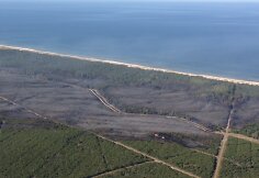 Kur&scaron;ių nerija atsikvėpė &ndash; per kelias valandas beveik 70 hektarų pusiasalio mi&scaron;kų nusiaubęs gaisras numal&scaron;intas.