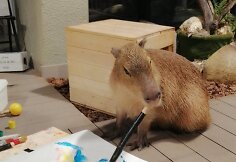 Spalis „Zoopark“ – išskirtinės pramogos ir nemokamos ekskursijos