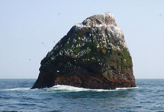 Rockall sala