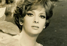 Gina Lollobrigida
