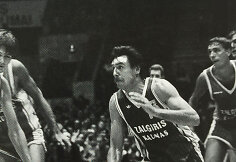Voldemaras Chomičius