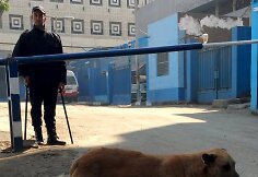 Egipte dingęs italas doktorantas rastas nužudytas ir sudegintas