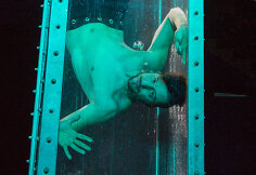 Andrew Basso 