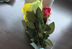 Gėlės, kurias Dainius Frišmantas norėjo įteikti Lady Gagai