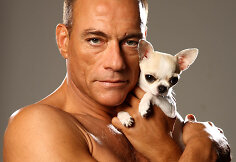 Jeano-Claude'o Van Damme'o fotosesijos su čihuahua kadrai (2011 m.) 
