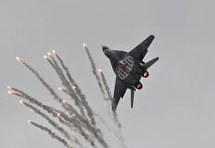 Polish Air Force MiG-29, Andrius Rapševičius, Lithuanian Planespotters