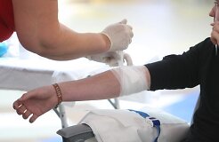 Сдать кровь доноров призывают и по телефону