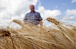 Фермеры в этом году вновь надеются на рекордный урожай