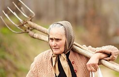 Сельское хозяйство Литвы &ndash; мелкие участки, непродуктивная работа и нехватка финансовых знаний