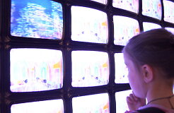 В октябре телеканал LNK увеличил отрыв от TV3, а аудитория LRT не менялась
