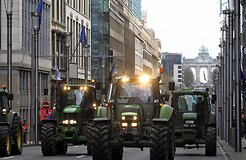 Фермеры стран Балтии будут протестовать против низких дотаций, сжигая костры