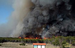 Семь лет после пожара на Куршской косе: болезненный урок еще не забыт