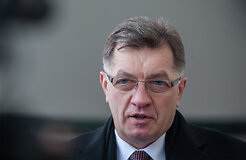 Буткявичюс: решение о налоговой реформе будет принято до июля 2013 года