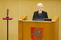 Руководитель литовского парламента: на президентских выборах в России нормальной конкуренции нет