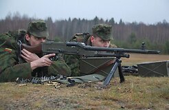 Литовские и датские специалисты по вооружениям посетят с визитом Украину