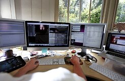 Эстония будет отвечать за кибероборону ЕС