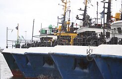 Морская Литва лишается как своей рыбы, так и рыболовного флота