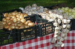 Депутат от ЛДПР разыграл Госдуму "античесночным законом"