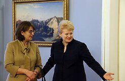 Глава МИД Грузии в Литве отклонила упреки по поводу преследования политических оппонентов