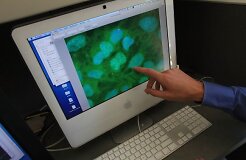 Thermo Fisher Scientific создает в Вильнюсе мировой центр молекулярной биологии