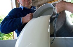 Литовские молочные продукты Svalia попали в список запрещенных Роспотребнадзором для ввоза в Россию