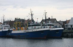 Эстонцы скупают суда с литовскими рыболовными квотами