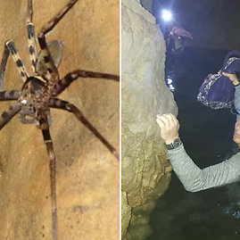 Valda Aleksiūnienė - Tailando požeminiuose urvuose į burną įkrito voras