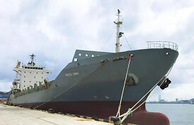 Rusai verda pykčiu: nuskandintas &bdquo;Rosatom&ldquo; konteinerinis laivas