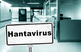 Ispanijoje po kontakto su auka nustatytas įtariamas hantaviruso atvejis