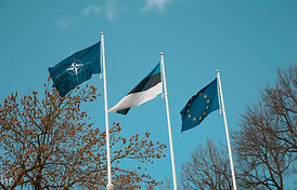 Estijos rytinės sienos atkarpose sumontuotos pirmosios dronų stebėjimo sistemos